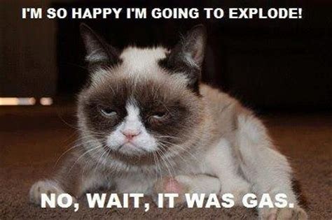 A high pitched meow! while chatting with you. I'M so Happy Cat Meme - Cat Planet | Cat Planet