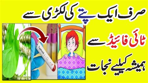 In this article, we describe the whole genome sequence of the s. Typhoid Fever Ka Desi Garelu Ilaaj || Health Benefits Of ...