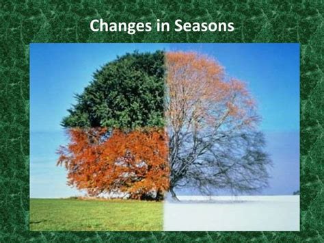 Changes In Seasons Ppt