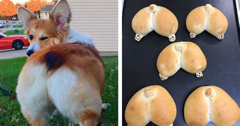 Corgis Inspire Butt Buns At This Japanese Bakery