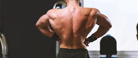 10 Best Middle Back Exercises For Strength And Mass Routines