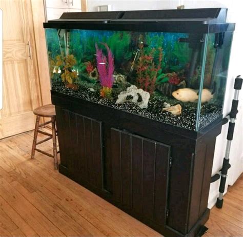 75 Gallon Fish Tank For Sale 70 Ads For Used 75 Gallon Fish Tanks