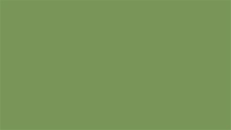 Piquant Green Similar Color 799658 Information Hsl Rgb Pantone