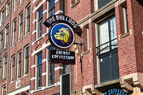 Coffeeshop, licenced to sell cannabis to over 18s. Smoothies Bulldog Coffeeshop / The Bulldog Energy The ...
