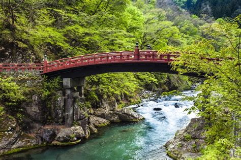 Optimized Forest Japan Nikko Lumle Holidays