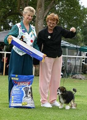 Regularly grooming your dog plays an important role in keeping them healthy and happy. Aust. CH. CHINAROAD GLOBETROTTER - "Phoenix" whelped December 8th 2003, owned & exhibited by ...