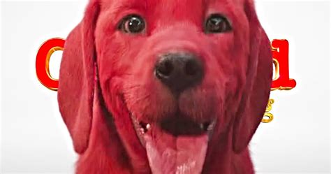 The movie stars darby camp ('big little lies') and comedian jack whitehall. Clifford Movie Teaser Reveals the Iconic Big Red Dog