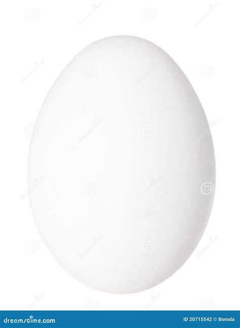 6400 Single White Bird Egg Photos Free And Royalty Free Stock Photos