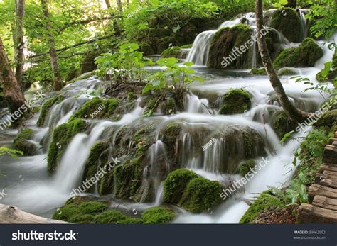 Waterfall Flowing Between Mossy Forest Trees Stock Photo