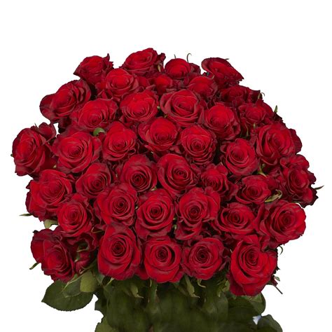 Globalrose 50 Red Roses Fresh Flower Delivery Lovely Bright Blooms