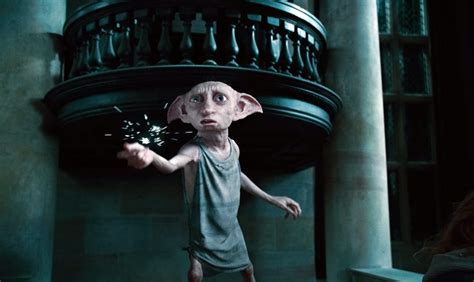 7 Reasons Why Dobby Is The Best Buddy Ever Quirkybyte