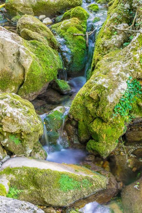 A Small River Flows Among The Stones In The Forest Stock Image Image