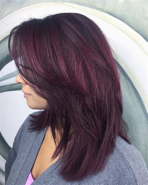 Best 25 Burgundy Plum Hair Ideas On Pinterest For Plum Black Hair Color