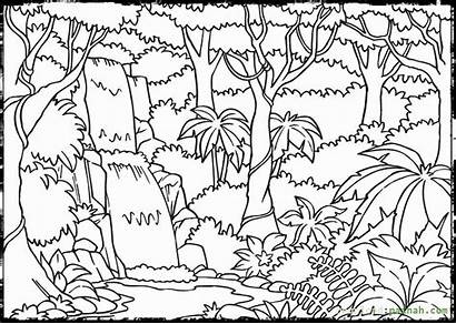 Coloring Jungle Pages Animal Printable Forest Rainforest