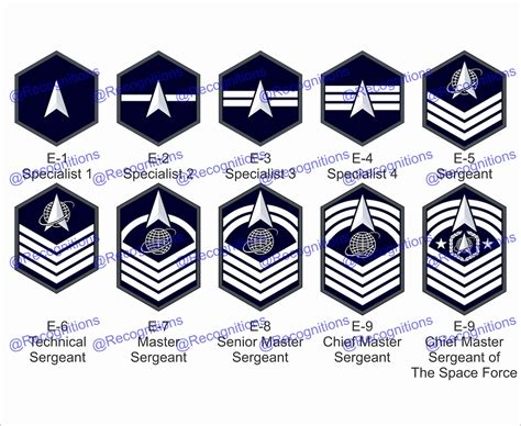 Unites States Space Force Enlisted Rank Vector File Etsy Canada