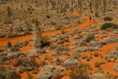 Watch the desert come to life as our friendly and knowledgeable cameleers tell you about the flora and fauna along the trail. Roz + Jera - Longitude 131 - Uluru NT » Lara Hotz Photography