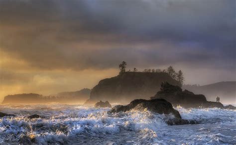 Olympic National Park Camping Survival Life