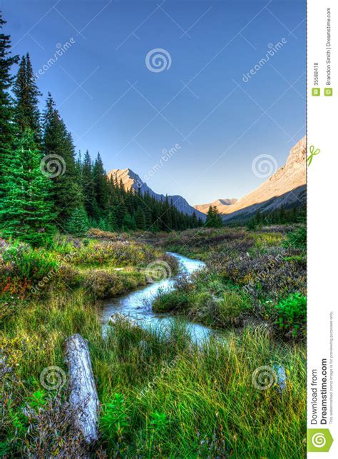 Scenic Mountain Views Stock Photo Image Of Meadow Park 35588418