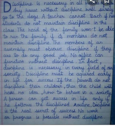 Essay On Discipline