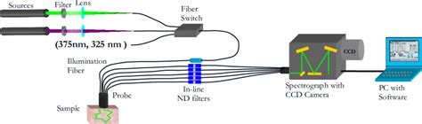 Multi Wavelength Fiberoptic Diffuse Reflectance System For Optical