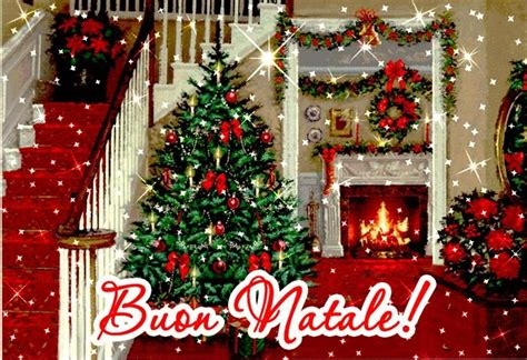 Troverai tante immagini simpatiche, divertenti, immagini di babbo natale, immagini di animali con addobbi natalizi, simpatici e divertenti pupazzi di neve, oppure immagini con alberi di natale decorati ed addobbati. Immagini Buon Natale divertenti e con frasi da condividere ...
