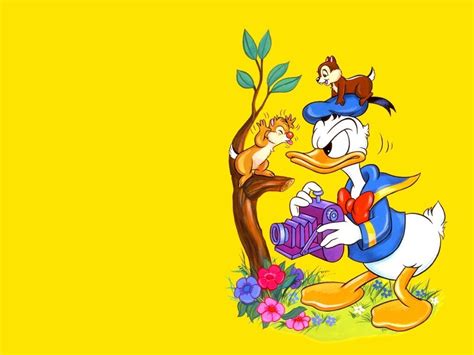Ls4u Donald Duck 5 Vol Full Hd Viết Bởi Linkshare4u