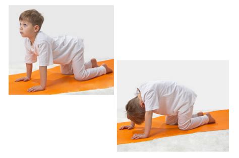 Description & history the cat and cow poses are considered simple yoga poses. Cat Cow Pose from 12 Yoga Poses You Can Do with Your Kids ...