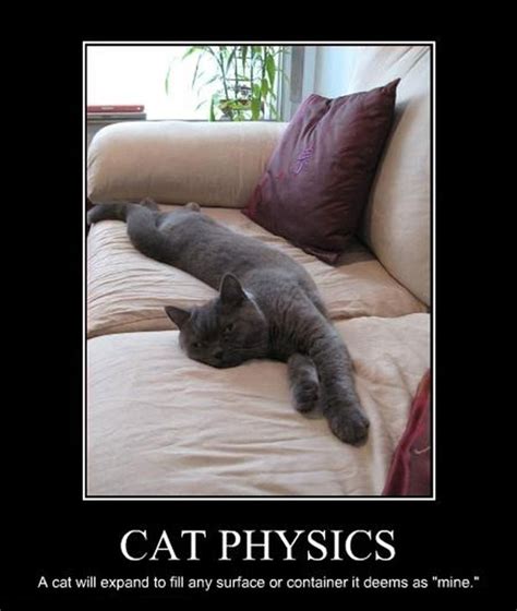 Motivational Poster Cat Physics Motivational Mondays
