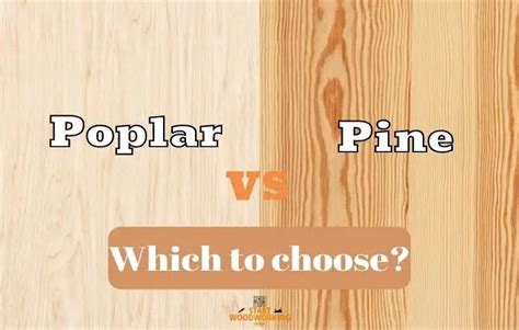 Poplar Vs Pine Which Is The Best Pros And Cons