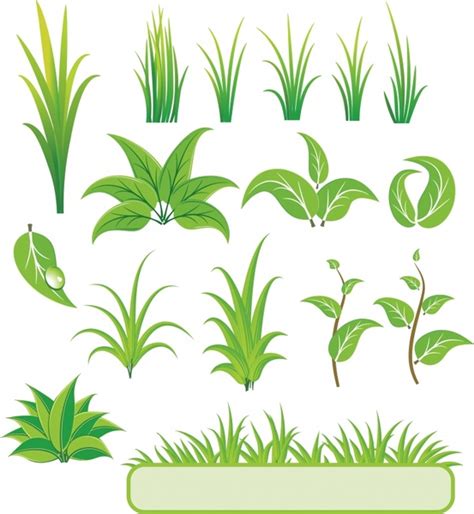 Nature Design Elements Green Leaf Grass Icons Vectors Graphic Art