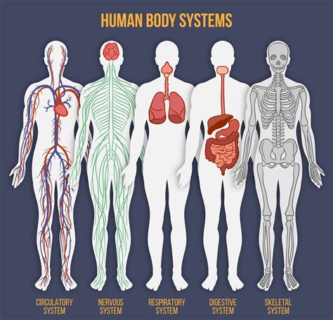 Maybe you would like to learn more about one of these? 12 Infographics That Explain Why We Get Sick