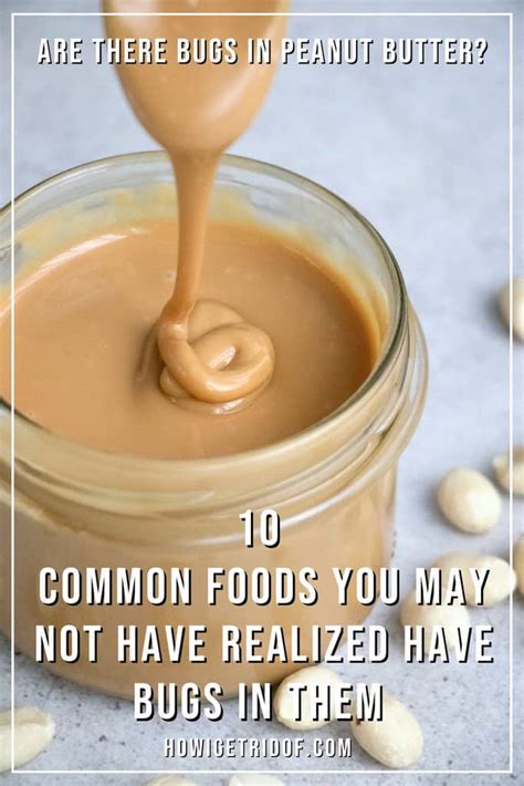 Are There Bugs In Peanut Butter 10 Common Foods That May Have Bugs In