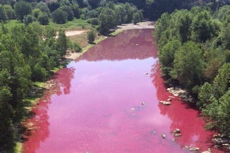A River In Arctic Russia Has Turned Blood Red Atlas Obscura