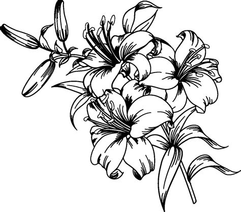 Lily SVGLily Flower svg Flower Svg Files for Cricut Cut | Etsy