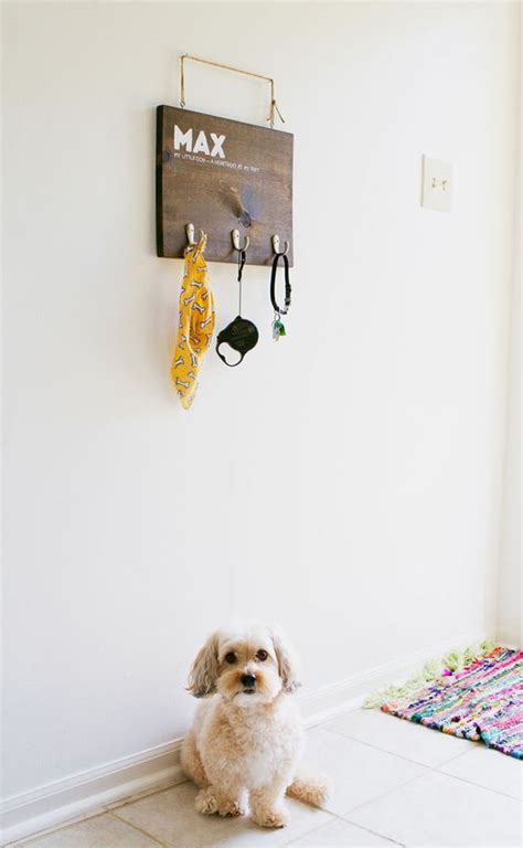 Diy Dog Leash And Accessory Rack Diy Dog Creative And Accessories