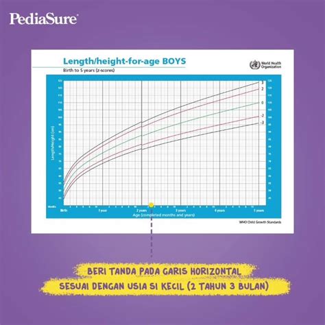 Tutorial Menggunakan Kurva Who Sudahkan Ibu Memantau Pertumbuhan