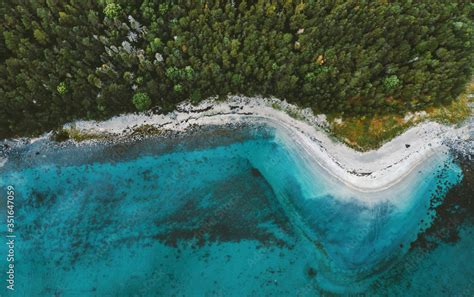 Foto Stock Aerial View Ocean Sandy Beach And Coniferous Forest Drone