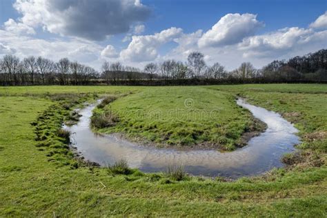 Meandering Stream Through A Meadow Stock Photo Image Of Environment