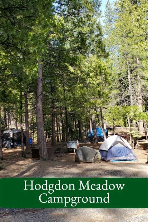 Hodgdon Meadow Campground Yosemite National Park Park Ranger John
