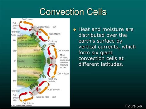 Ppt Convection Wind And The Coriolis Effect Powerpoint Presentation