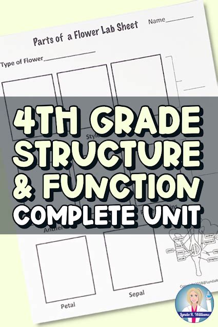 4th Grade Structure And Function Complete Unit Teaching Science With
