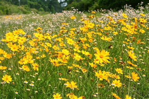 Maybe you would like to learn more about one of these? meanderings . . . : roadside attractions: florida