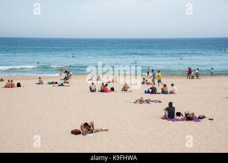 People Sunbathing On Bondi Beach Stock Photo Alamy