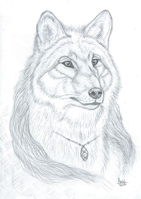 Wolf Portrait — Weasyl