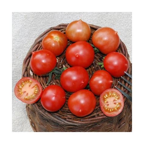 Riesentraube Tomato Organic Seeds