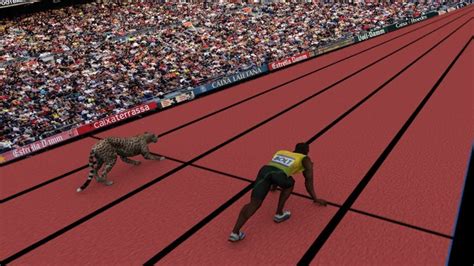 Video Who Will Run Faster And Win Average Person Vs Usain Bolt