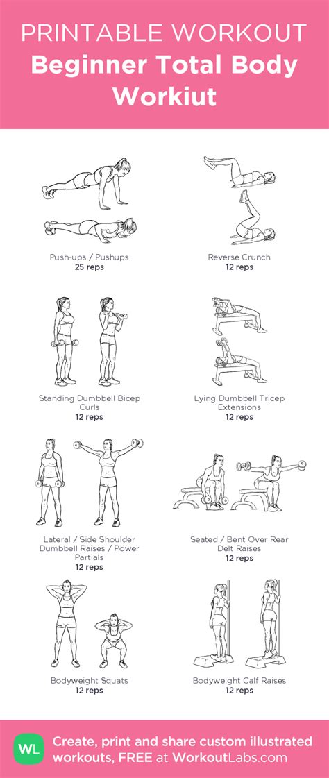 21 Full Body Beginner Dumbbell Workout Pdf At Gym Workout Life