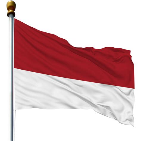 Merah Putih Vector Png