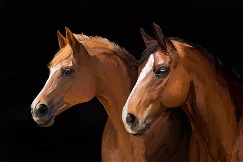 Horse Portraits — Weasyl