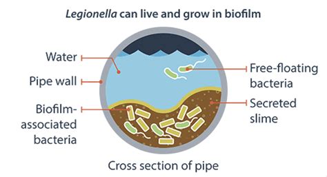 How Does Legionella Get In Water Etch2o